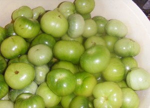 Рецепты из зеленых помидор - вкусные заготовки на зиму