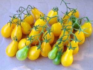 Желтые помидоры - особенности зимних заготовок