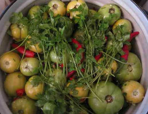Простой рецепт засолки зелёных помидор в ведре на зиму