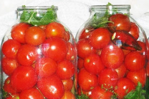 Малосольные помидоры фото