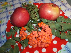 Варенье из рябины и яблок