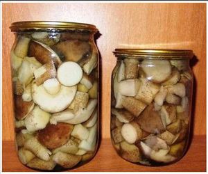 Особенности консервации грибов