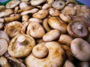 Грузди маринованные - вкусные грибочки