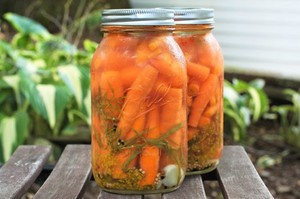 Как законсервировать морковь
