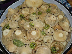 Способ холодной засолки грибов в домашних условиях