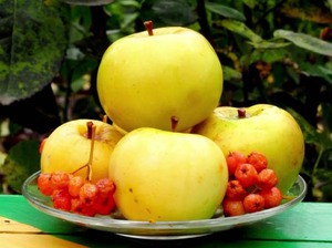 Рецепт моченых яблок с рябиной - зимние заготовки