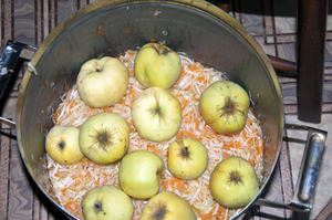 Рецепт квашения капусты с яблоками