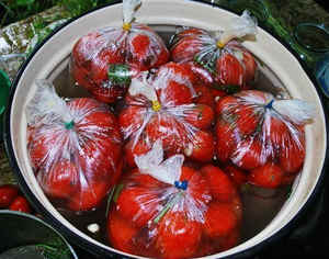 Малосольные помидоры в пакете: приготовление