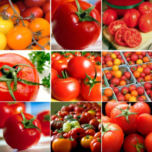 В томатах много витаминов