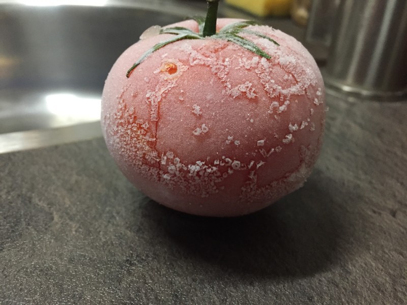 Сколько хранятся замороженные помидоры