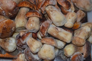 Замороженные белые грибы: рецепты