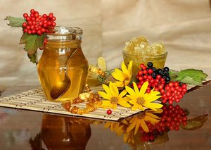 Лечение болей калиной с медом