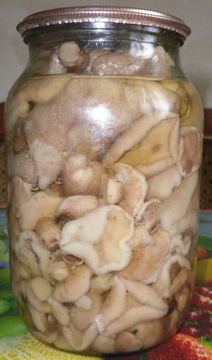 Как сделать заготовки из грибов