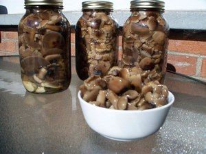 Как мариновать белые грибы 