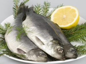Сельдь «Нежная» - вкусный рецепт соленой рыбы