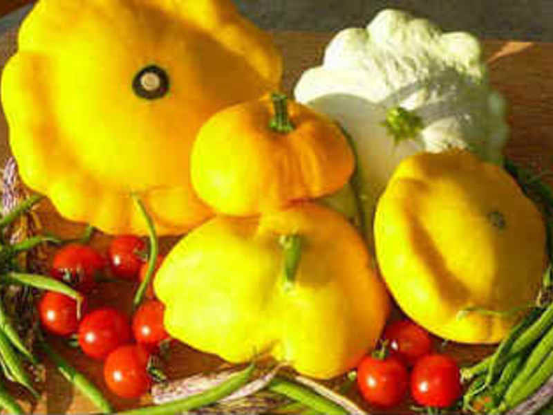 Патиссоны с томатами и фасолью - рецепт зимних заготовок