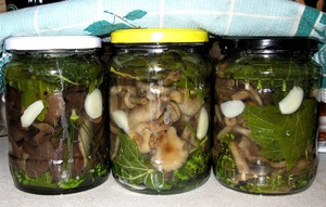 Рецепт засолки грибов с чесноком на зиму в домашних условиях