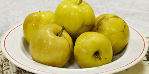 Мочёные яблоки на зиму - вкусно и полезно