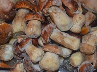 Замороженные белые грибы: рецепты